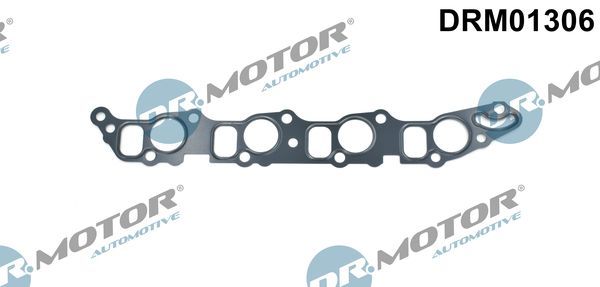 Tarpiklis, įsiurbimo kolektorius Dr.Motor Automotive DRM01306
