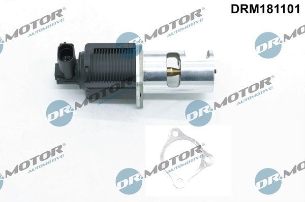 ERG vožtuvas Dr.Motor Automotive DRM181101