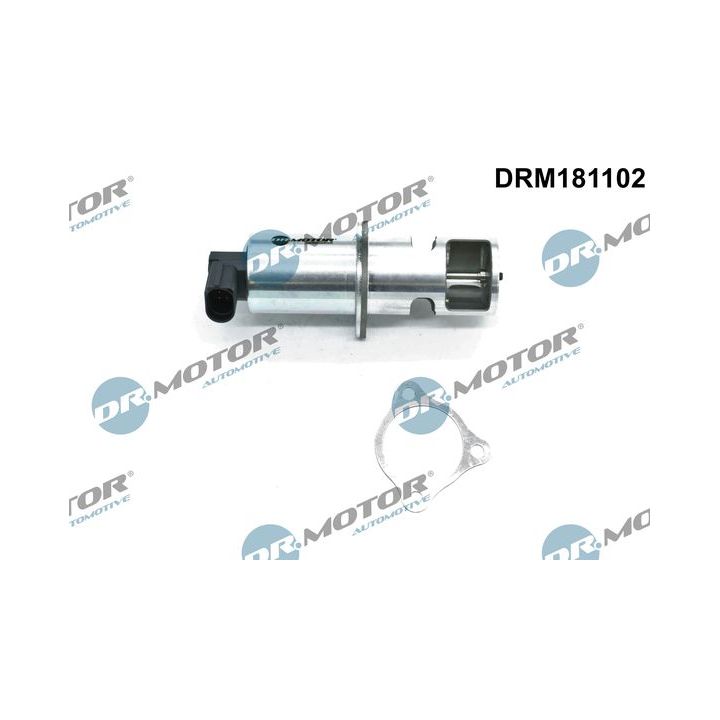 ERG vožtuvas Dr.Motor Automotive DRM181102