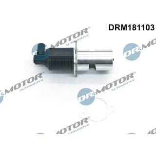 ERG vožtuvas Dr.Motor Automotive DRM181103