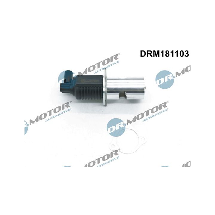 ERG vožtuvas Dr.Motor Automotive DRM181103