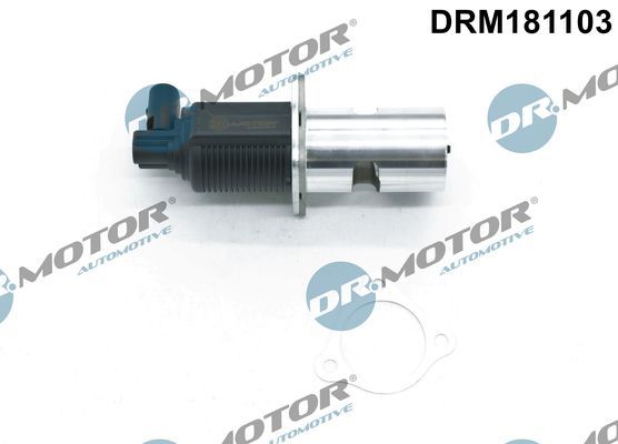 ERG vožtuvas Dr.Motor Automotive DRM181103