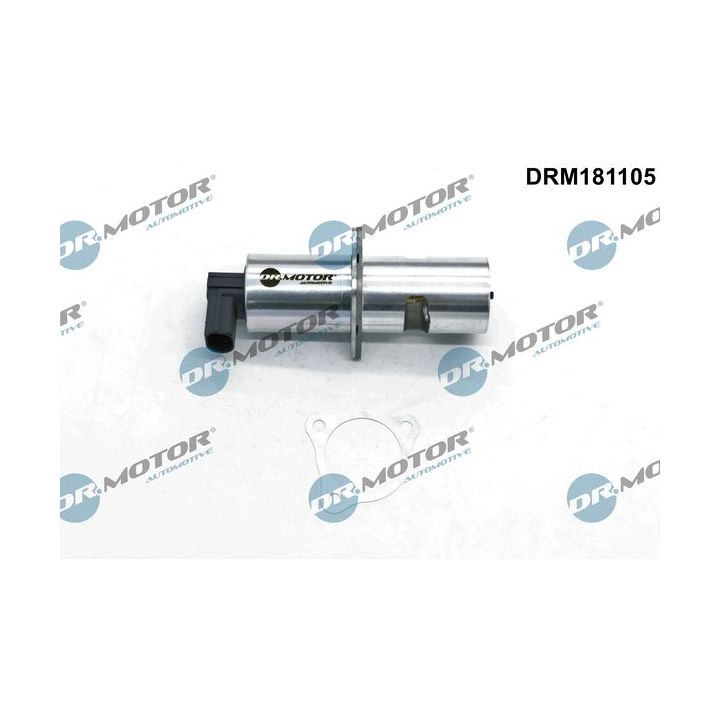 ERG vožtuvas Dr.Motor Automotive DRM181105