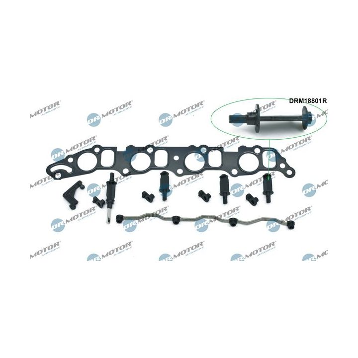 Remonto komplektas, įsiurbimo kolektoriaus modulis Dr.Motor Automotive DRM18801R