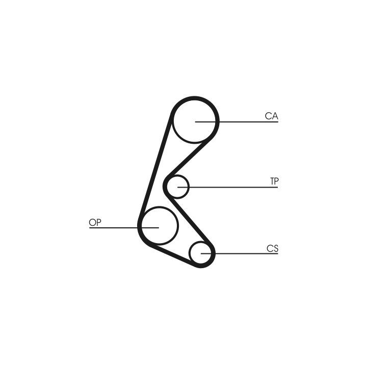 Paskirstymo diržas CONTINENTAL CTAM CT964