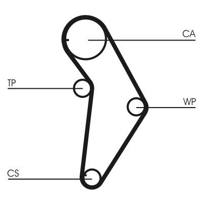Paskirstymo diržas CONTINENTAL CTAM CT973