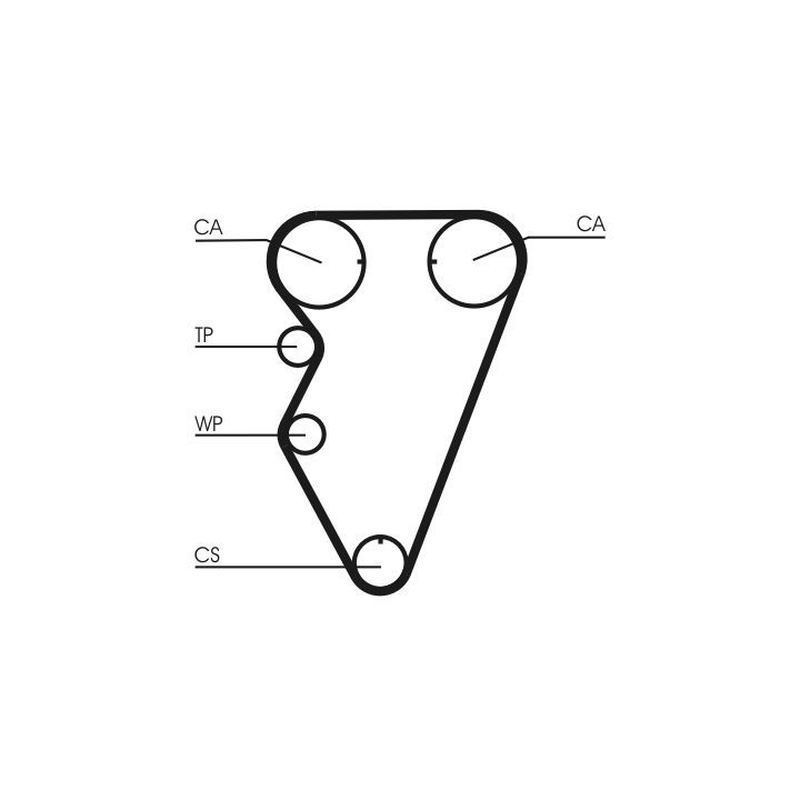 Paskirstymo diržas CONTINENTAL CTAM CT974
