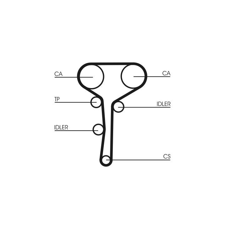 Paskirstymo diržas CONTINENTAL CTAM CT977