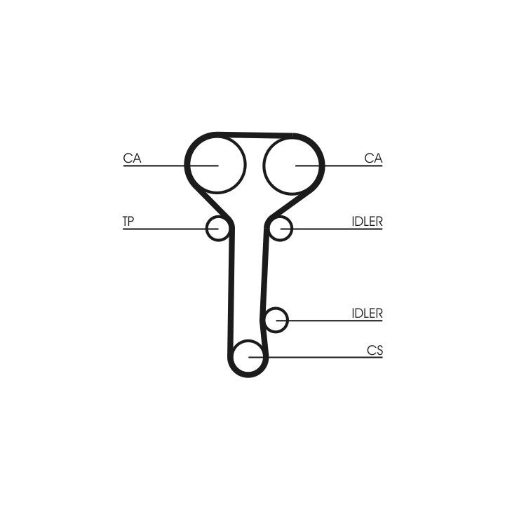 Paskirstymo diržas CONTINENTAL CTAM CT978