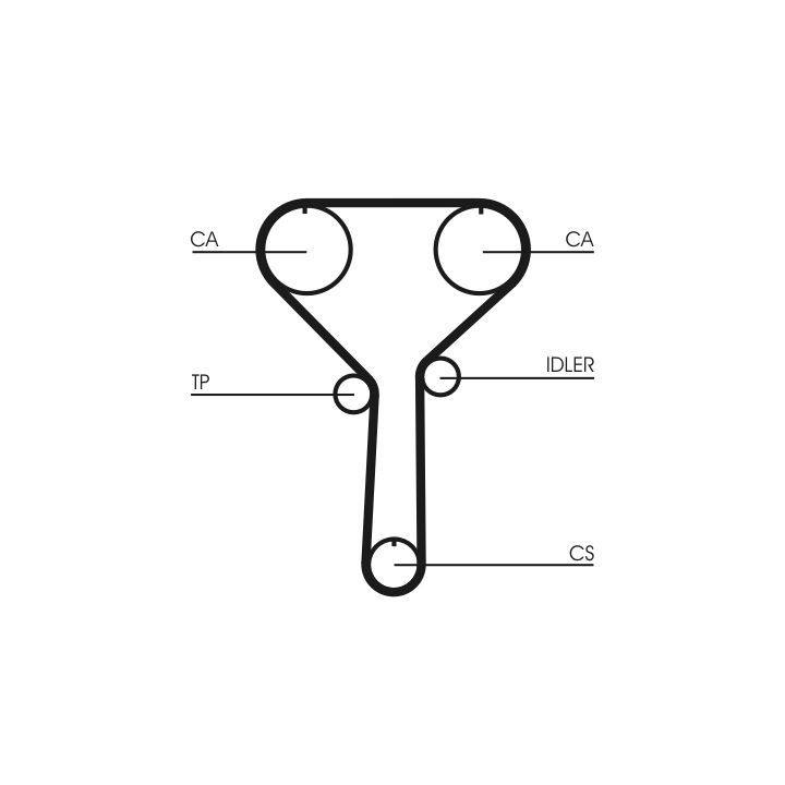 Paskirstymo diržas CONTINENTAL CTAM CT992