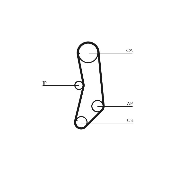 Paskirstymo diržas CONTINENTAL CTAM CT997