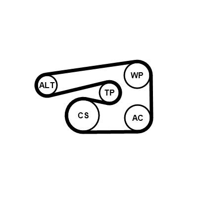 V formos rumbuotas diržas, komplektas CONTINENTAL CTAM 5PK1546K1