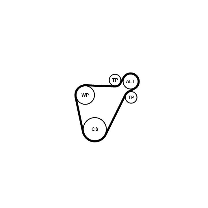 V formos rumbuotas diržas, komplektas CONTINENTAL CTAM 8PK954 EXTRA K1