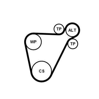 V formos rumbuotas diržas, komplektas CONTINENTAL CTAM 8PK954 EXTRA K1
