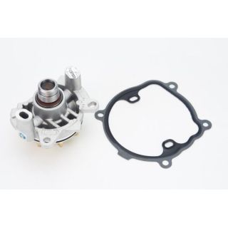 Vandens siurblys, variklio aušinimas CONTINENTAL CTAM WPS3175