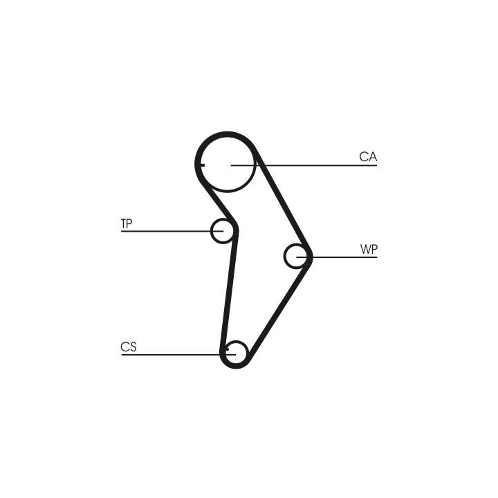 Vandens siurblio ir paskirstymo diržo komplektas CONTINENTAL CTAM CT973WP1