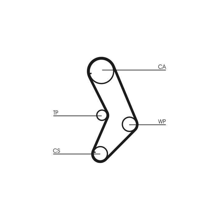 Vandens siurblio ir paskirstymo diržo komplektas CONTINENTAL CTAM CT999WP1