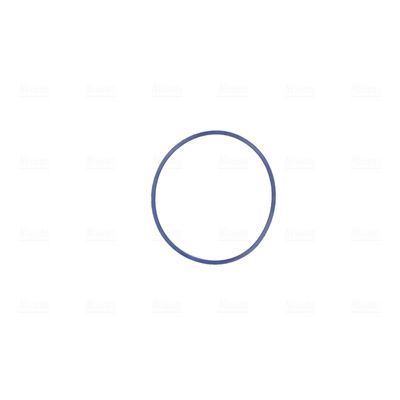 Droselio korpusas NISSENS 955005