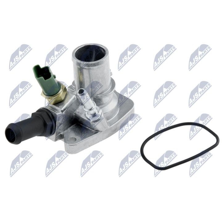 Termostatas, aušinimo skystis NTY CTM-FT-003