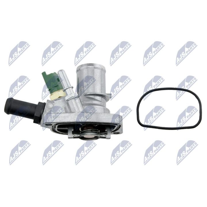 Termostatas, aušinimo skystis NTY CTM-FT-003