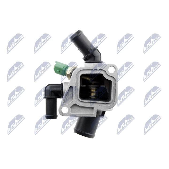 Termostatas, aušinimo skystis NTY CTM-PL-008