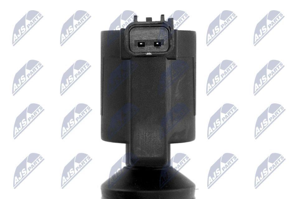 Ritė, uždegimas NTY ECZ-FR-002