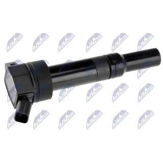 Ritė, uždegimas NTY ECZ-HY-513