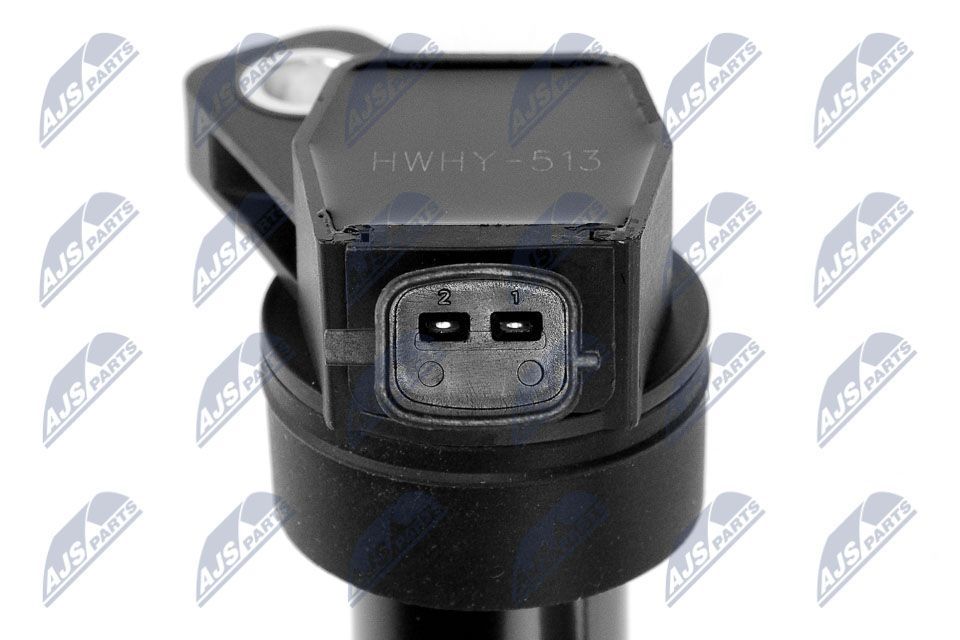 Ritė, uždegimas NTY ECZ-HY-513