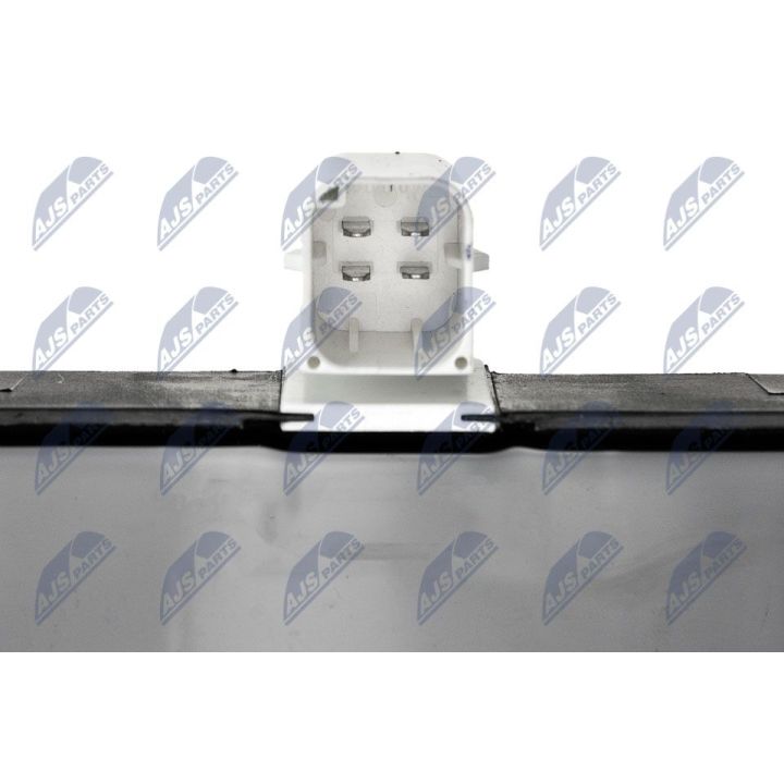 Ritė, uždegimas NTY ECZ-PE-001