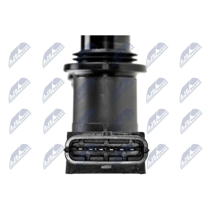 Ritė, uždegimas NTY ECZ-PL-007