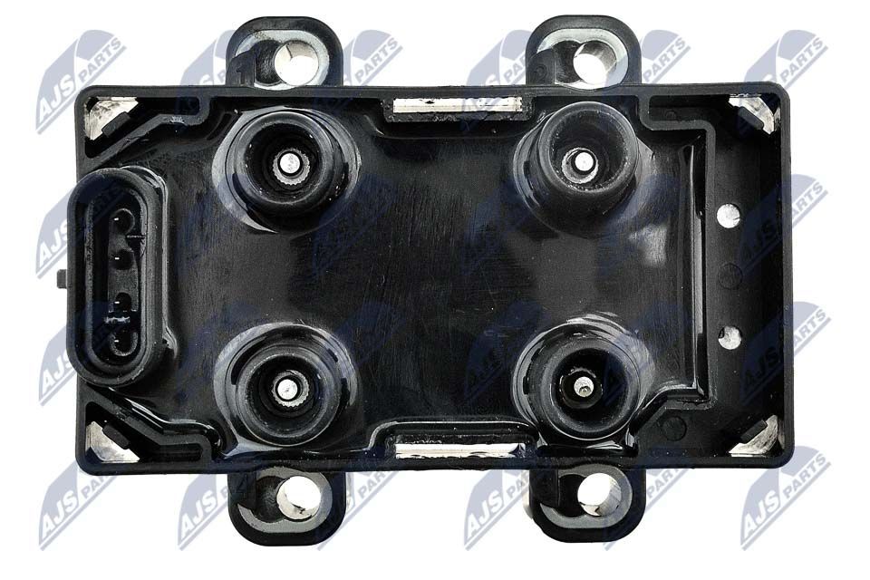 Ritė, uždegimas NTY ECZ-RE-001