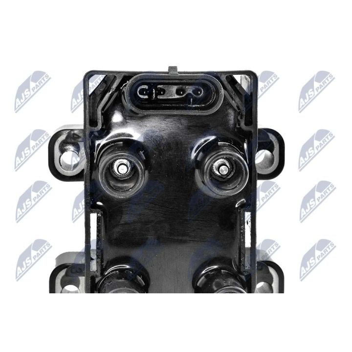 Ritė, uždegimas NTY ECZ-RE-001