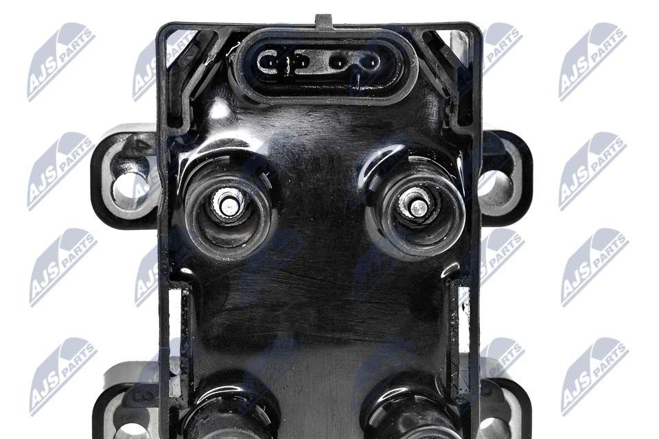 Ritė, uždegimas NTY ECZ-RE-001