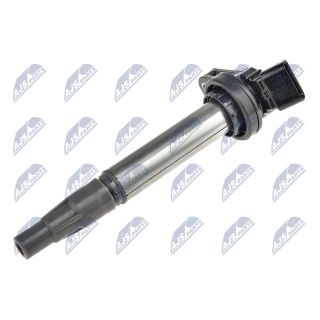 Ritė, uždegimas NTY ECZ-TY-000