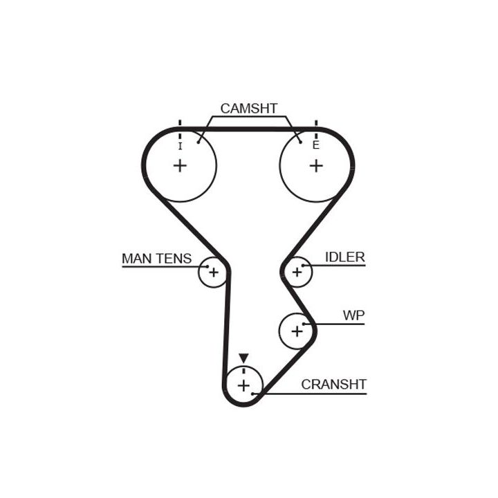Paskirstymo diržas GATES T281RB