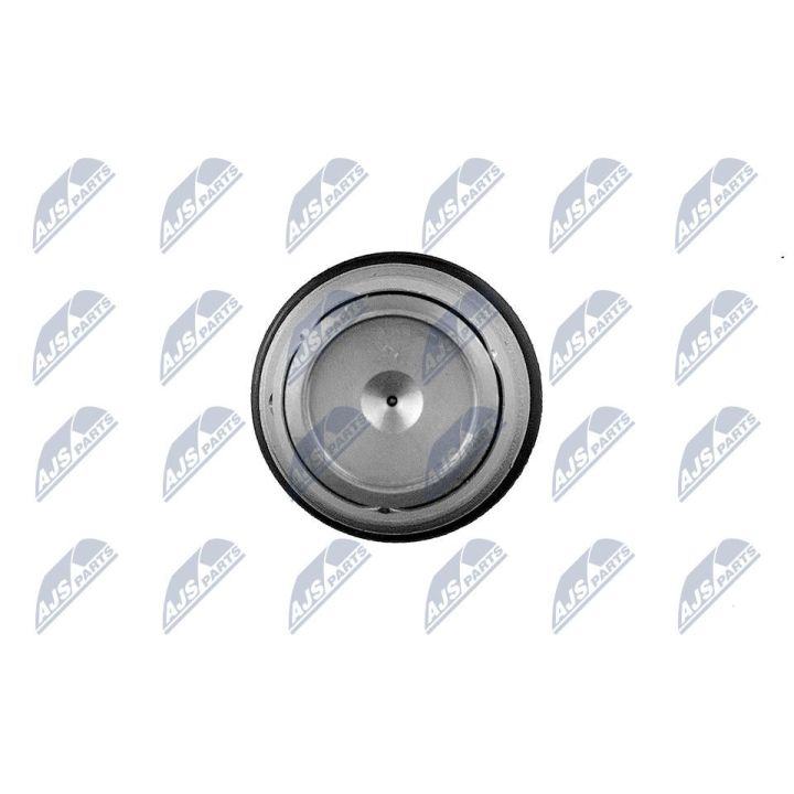 Slėgio ribojimo vožtuvas, įprasta magistralinė sistema NTY ESCV-RE-000