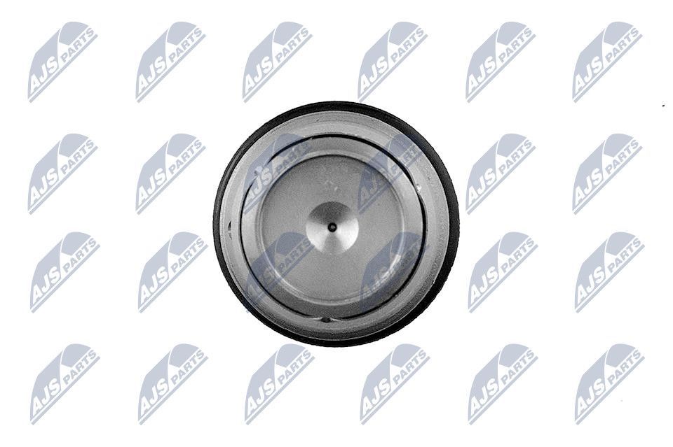 Slėgio ribojimo vožtuvas, įprasta magistralinė sistema NTY ESCV-RE-000