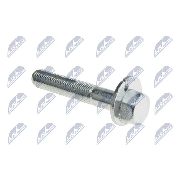 Išvirtimo reguliavimo varžtas NTY ZWT-NS-009S