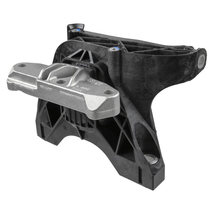 Variklio montavimas LEMFÖRDER 43230 01