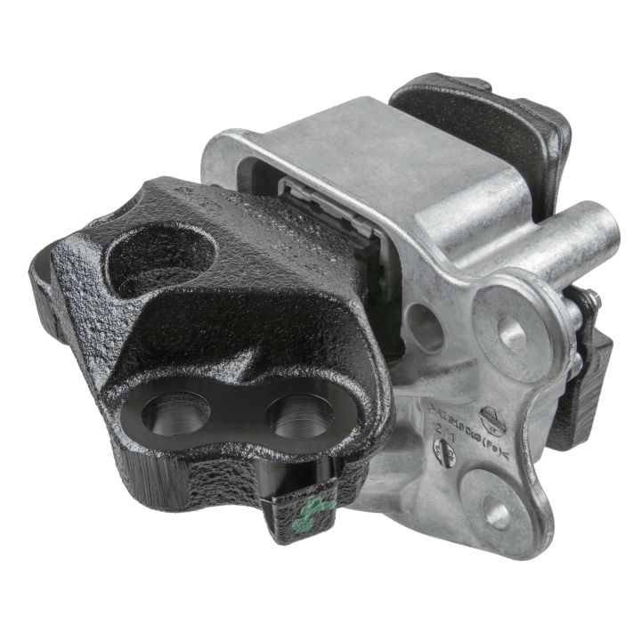 Variklio montavimas LEMFÖRDER 44244 01