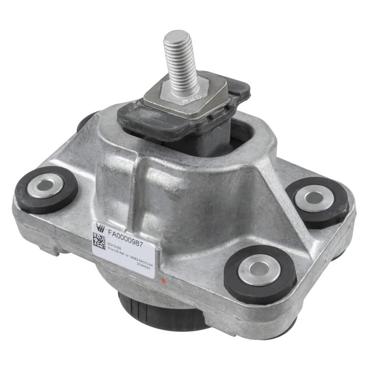 Variklio montavimas LEMFÖRDER 44245 01