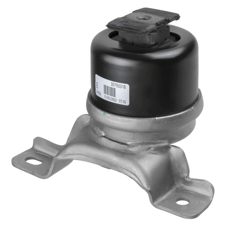 Variklio montavimas LEMFÖRDER 44741 01