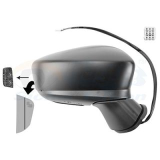 Išorinis veidrodėlis VAN WEZEL 2744828