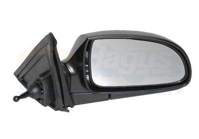 Išorinis veidrodėlis VAN WEZEL 8224804