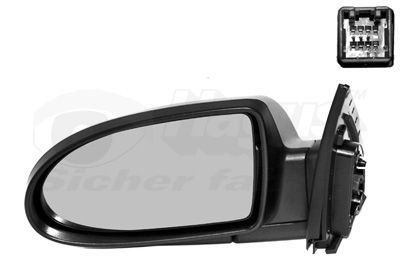 Išorinis veidrodėlis VAN WEZEL 8226817