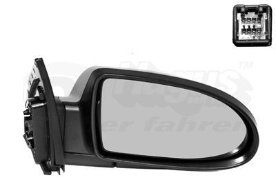 Išorinis veidrodėlis VAN WEZEL 8226818