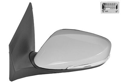 Išorinis veidrodėlis VAN WEZEL 8244815