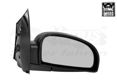 Išorinis veidrodėlis VAN WEZEL 8251808