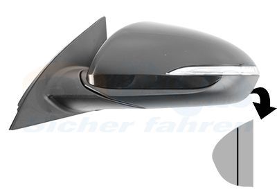 Išorinis veidrodėlis VAN WEZEL 8254817