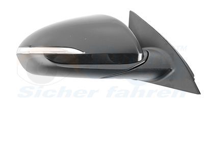 Išorinis veidrodėlis VAN WEZEL 8254818